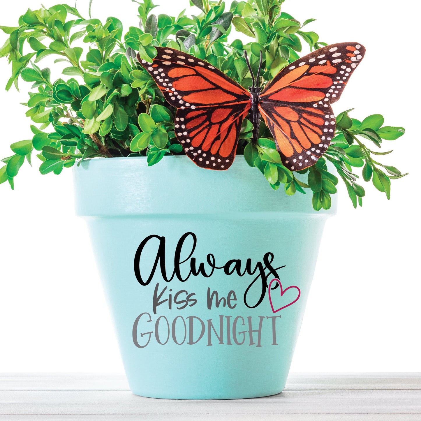 Always Kiss Me Goodnight SVG